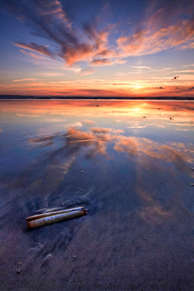 Shell, Sunset, Saunton