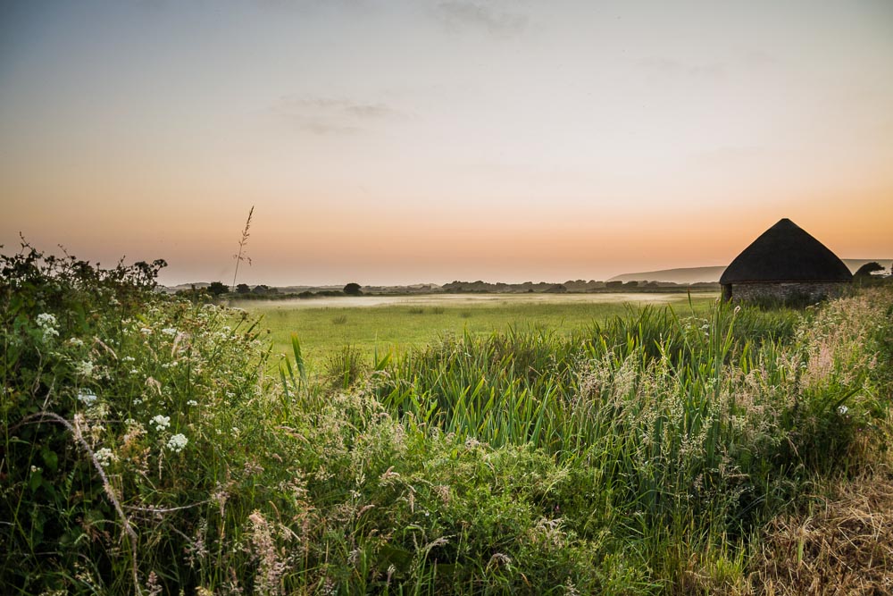 Braunton Marsh