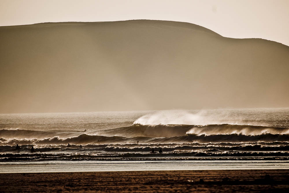 Middle Beach Plumes, Woolacombe