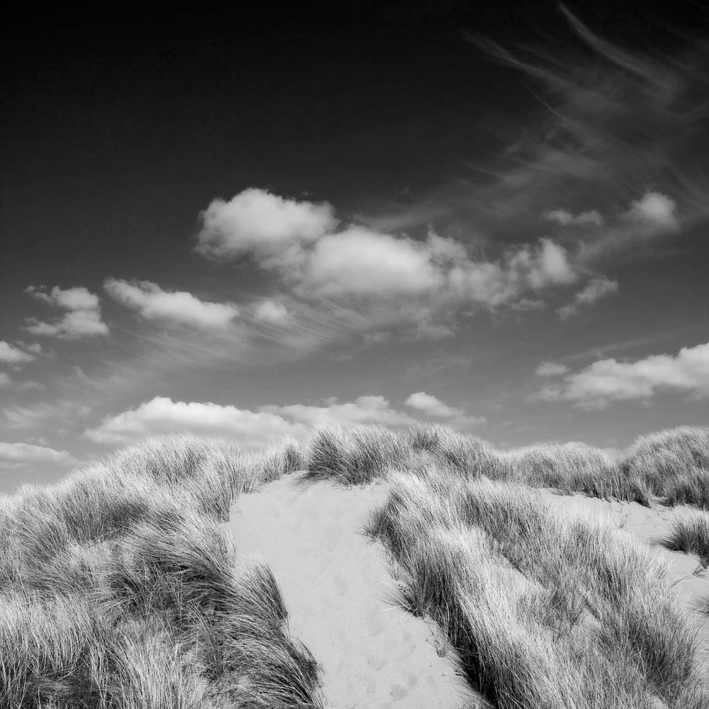 Sand Dunes, Croyde