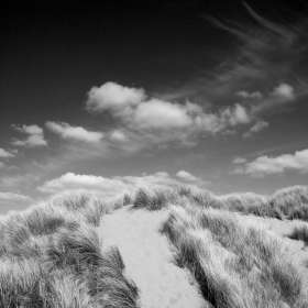 Sand Dunes, Croyde