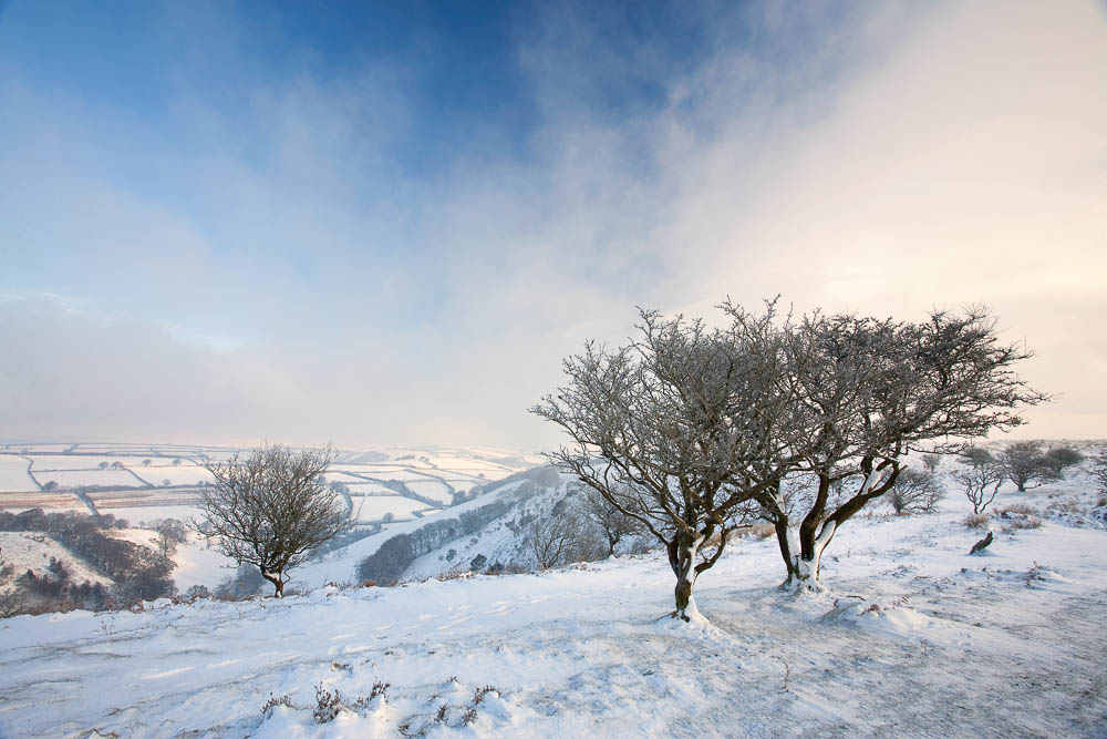 Snow on Winsford Hill, Exmoor