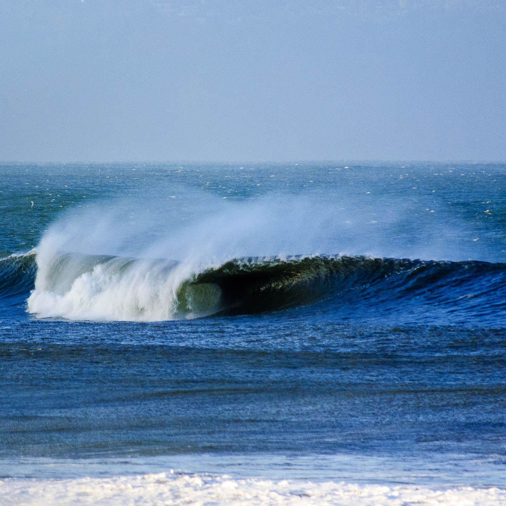 Blue Plume, Croyde