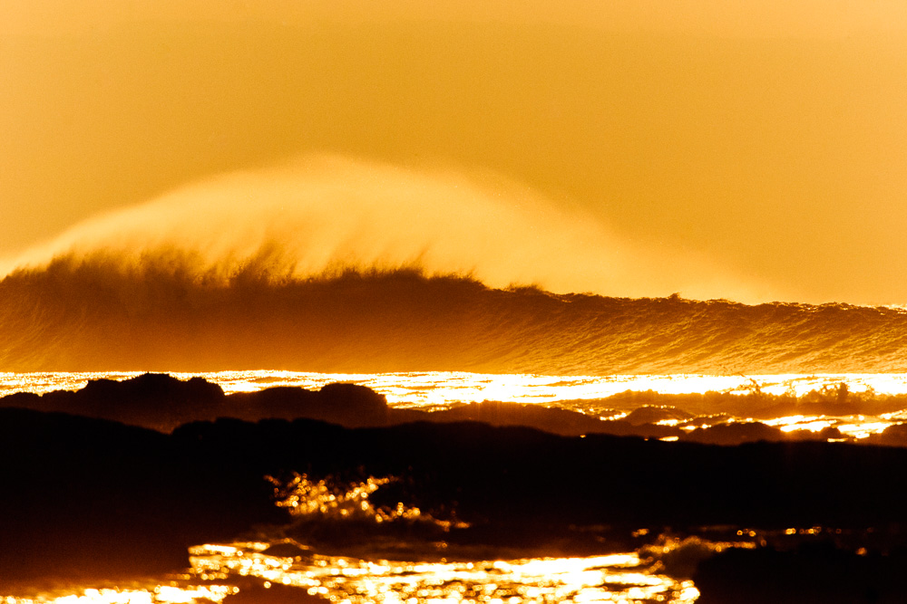 Croyde Plume