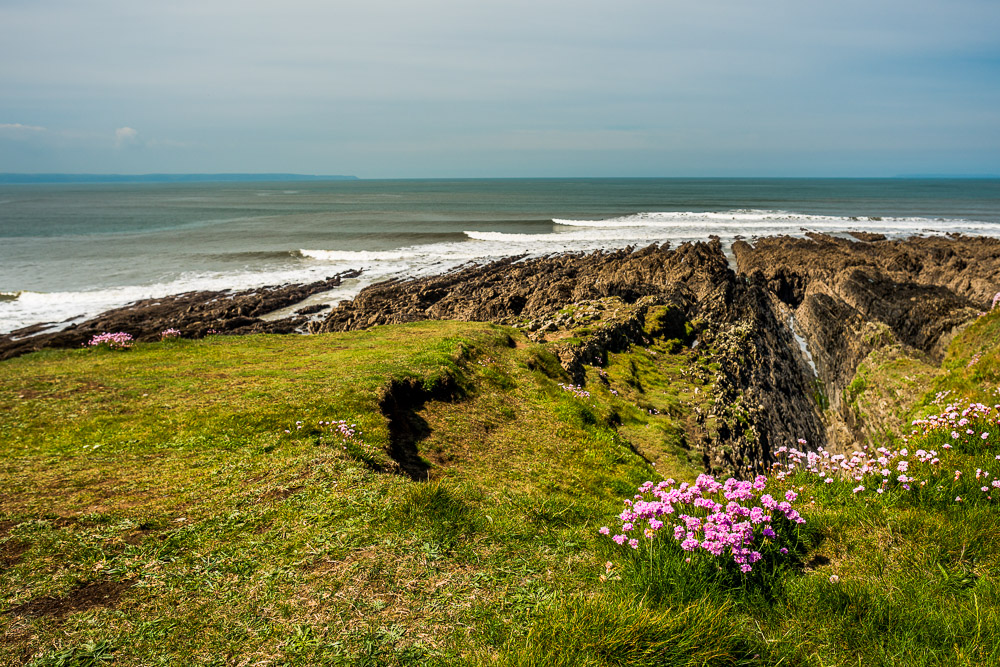 Thrift at Downend