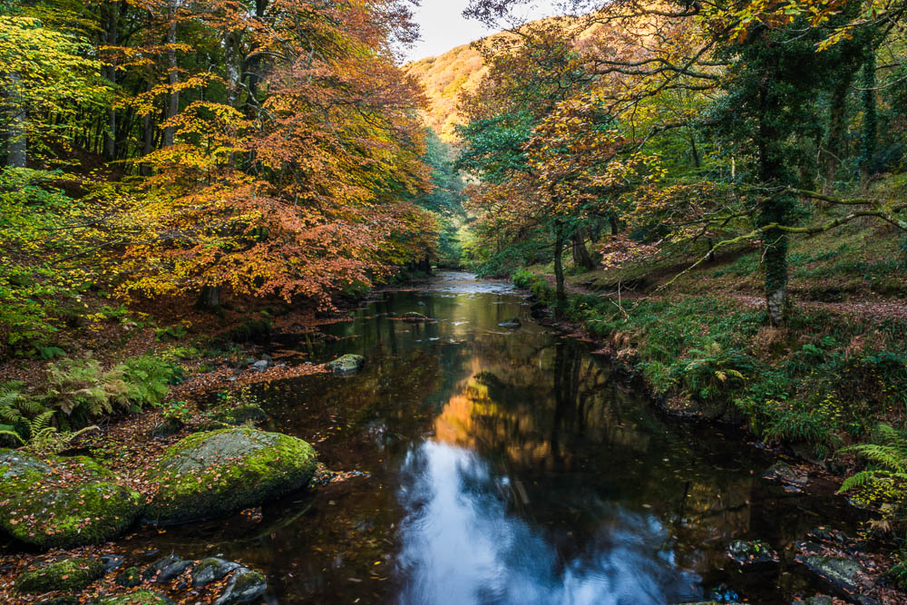 Autumn on the East Lynn River