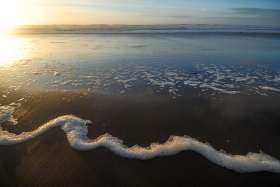 Foamy Serpent