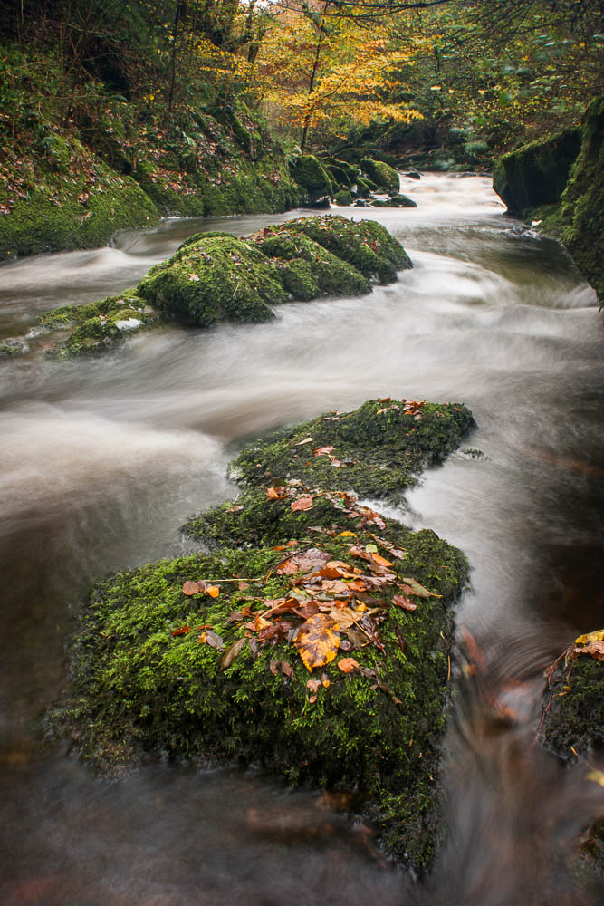 West Lyn River