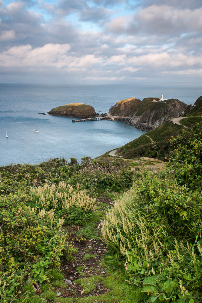 Rat Island, Lundy