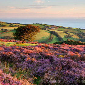 sunrise over Porlock hill