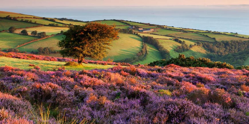 sunrise over Porlock hill